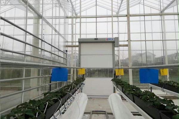 上海快速卷帘门