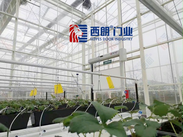 上海快速卷帘门 上海快速卷帘门